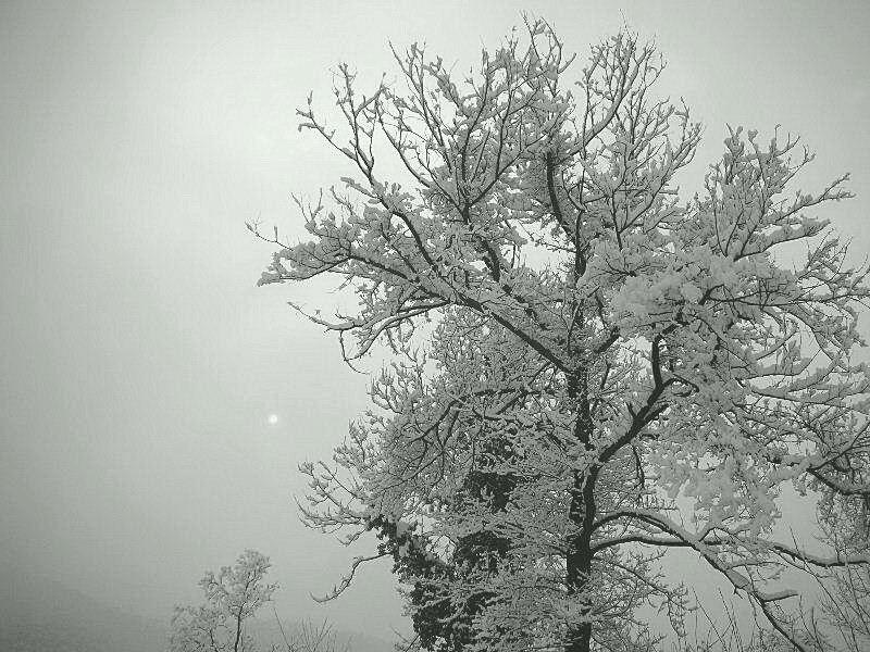 Panorami innevati
